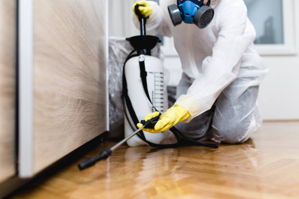 Pest Control Cost in Granite City, IL