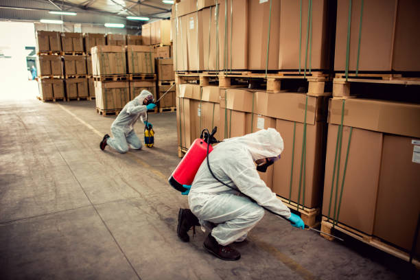 Best Pest Control Treatment  in Granite City, IL