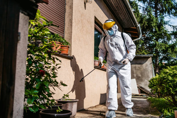 Best Affordable Pest Control Services  in Granite City, IL