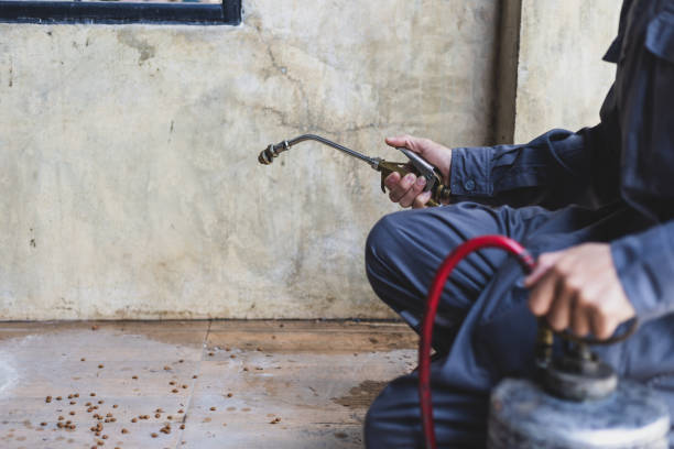 Best Pest Prevention Services  in Granite City, IL