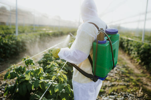 Best Flea Control Services  in Granite City, IL